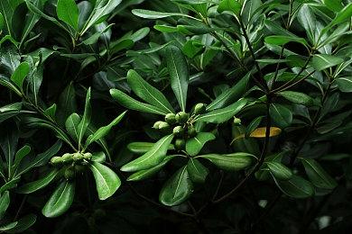 《最后的星舰》登陆steam抢测 SF太空基地建设